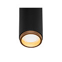 SLV 3-phase spot GRIP! M DALI swivelling, DALI controllable, UGR < 19 IP20, black dimmable