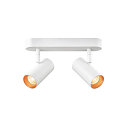 SLV Lampada da parete e soffitto NOBLO DOUBLE PHASE DTW 2-Lampadine, rotondo, Dim-To-Warm IP20, bianco dimmerabile