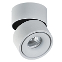 LED wall and ceiling spot APEX 3412/10, COB 13W 3000K 891lm, swivelling, white