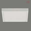 ACB Plafoniera ROKU 3436/19 piatto IP20, opale, bianco 