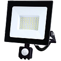 HWH LED Fluter, 110, 50W, 4000K, 4300lm, IP44, mit PIR-Sensor, schwenkbar, schwarz