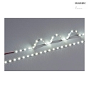LED Strip LED FLEXBAND, IP00, 24V DC, 60 LED/m, 4.8W/m 6500K 120, 500cm / 0.8cm