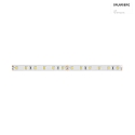 LED Strip QUALITYFLEX SELECT, IP00, 24V DC, 14.4W/m 6000K 1440lm/m 120, 500cm / 1cm
