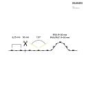 Brumberg light strip QUALITYFLEX Select HE