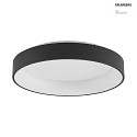 surface luminaire GEORGA