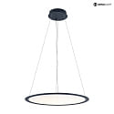 Deko-Light Luminaire à suspension rond IP40, transparent, noir profond gradable