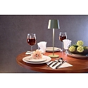 Deko-Light Lampe de table  accu CANIS CCT Switch, avec variateur tactile IP65, vert, mat gradable