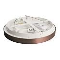 Deko-Light Lampada da parete e soffitto MEROPE 40 IP20, Caff marrone