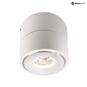 Deko-Light Luminaire de plafond UNI II MINI TILT à 1 flamme, pivotant à la cardan IP20, blanche gradable