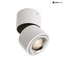Deko-Light Luminaire de plafond UNI II MINI TILT à 1 flamme, pivotant à la cardan IP20, blanche gradable
