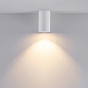Deko-Light downlight CAN cylindrical, rigid GU10 IP20, white dimmable