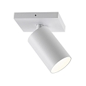 Deko-Light Plafoniera CAN TILT SQUARE 1-Lampadina, angolare, girevole, ruotabile GU10 IP20, bianco dimmerabile Deko-Light Plafoniera CAN TILT SQUARE 1-Lampadina, angolare, girevole, ruotabile GU10 IP20, bianco dimmerabile