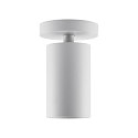 Luminaire de plafond CAN TILT BASE à 1 flamme, rond GU10 IP20, blanche gradable