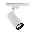 3-phase spot LUCEA 30 IP20, transparent, white dimmable