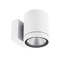 wall luminaire SHORELINE PRO ROUND 100 DOWN 1 flame, round, CCT Switch IP65, white dimmable