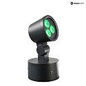 Deko-Light Outdoor LED Strahler COLT SMD RGBW, 24V DC, dimmbar, Schwarzgrau, 8W RGB + 3000K 389lm 20°