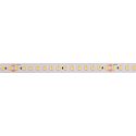 LED Stripe LONG RUN, 5m, SMD LED, 48V DC, 120°, 140 LED/m, 10W/m, IP20, 3000K