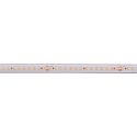 LED Stripe LONG RUN, 5m, SMD LED, 48V DC, 120°, 140 LED/m, 10W/m, IP67, 4000K