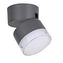 Outdoor LED Wand-/Deckenleuchte DROPSI, IP44, 8.6W RGB + 2700-6500K 690lm, drehbar, Bluetooth dimmbar, anthrazit