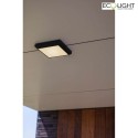 Lutec Lampada da parete e soffitto HELENA piazza IP54, antracite