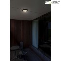 Lutec Lampada da parete e soffitto HELENA piazza IP54, antracite