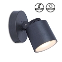 Lutec Luminaire mural d'extrieur EXPLORER IP54, anthrazit