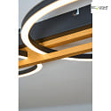 ECO-Light ceiling luminaire TOVAK LED IP20, wood, black 