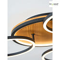 ECO-Light Plafoniera KIRU LED IP20, legno, nero dimmerabile