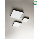 Fabas Luce Plafonnier extérieur DESDY angulaire, médium IP54, satiné, noir  
