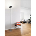 floor lamp REGINA IP20, satined, black dimmable