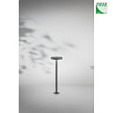 Fabas Luce Luce solare del dissuasore PALMER con sensore IP54, grigio scuro