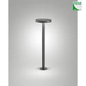 Fabas Luce Luce solare del dissuasore PALMER con sensore IP54, grigio scuro