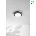 Fabas Luce Plafonnier extérieur OWEN IP65, gris foncé