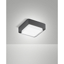 outdoor ceiling luminaire DIUK IP65, dark grey