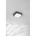 Fabas Luce outdoor ceiling luminaire DIUK IP65, dark grey