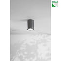 Fabas Luce Außendeckenleuchte MANU, E27, IK05, IP54, dunkelgrau