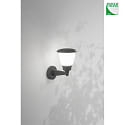 Fabas Luce Außenwandleuchte THIAGO, E27, IK08, IP54, dunkelgrau