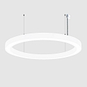 Luci a sospesione � 150CM CCT Switch, diretto, UGR < 19, multipower, forma dell'anello IP40, bianco 