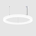 Luci a sospesione � 115.5CM controllabile da DALI, CCT Switch, diretto / indiretto, UGR < 19, forma dell'anello IP40