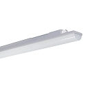Frisch-Licht damp-proof luminaire WNL14 9568 IP68, grey 