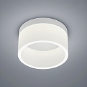 Luce da bagno LIV 20 forma dell'anello IP30, bianco opaco dimmerabile