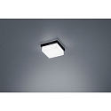 Luminaire de plafond COSI IP30, satin, noir mat gradable