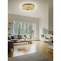 Helestra LED Deckenleuchte SONA, IP20,  59.5cm, 2-fach, 60W 2900K 4690lm, dimmbar, Stahl / Acryl, blattgold