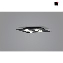 Helestra ceiling luminaire NOMI 4 flames, square LED IP20, black dimmable