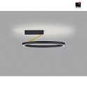 Helestra Plafoniera ELARA LED IP20, oro, nero dimmerabile