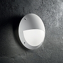 Outdoor luminaire LUCIA-2 AP1 Wall luminaire, 1 flame, E27