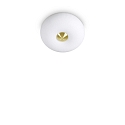 Plafoniera ARIZONA 2-Lampadine GX53 IP20, Bianco, ottone satinato