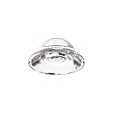 reflector lamp FOX 25W BIG / 0-10V + DALI / 15 /  62MM, transparent