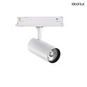 LED 3-Phasen Strahler FOX 25W BIG DALI, CRi >90, dimmbar DALI, verstellbar, 4000K 2310lm 35, wei