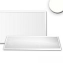 LED Panel Professional Line 1200 UGR<19 8H, BAP geeignet, IP40, 36W 4000K 4550lm 120, CRi >90, wei RAL 9016, KNX dimmbar